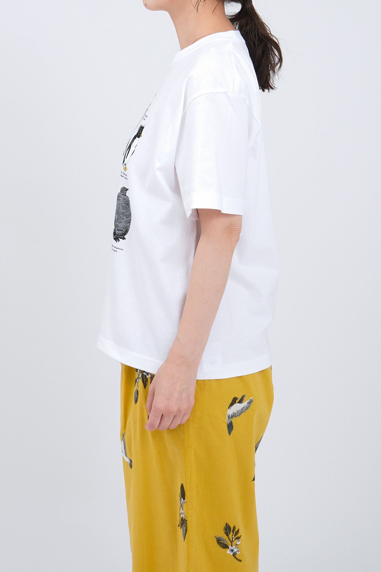 Zukan Penguin S/S Tシャツ | marble SUD(マーブルシュッド)公式通販