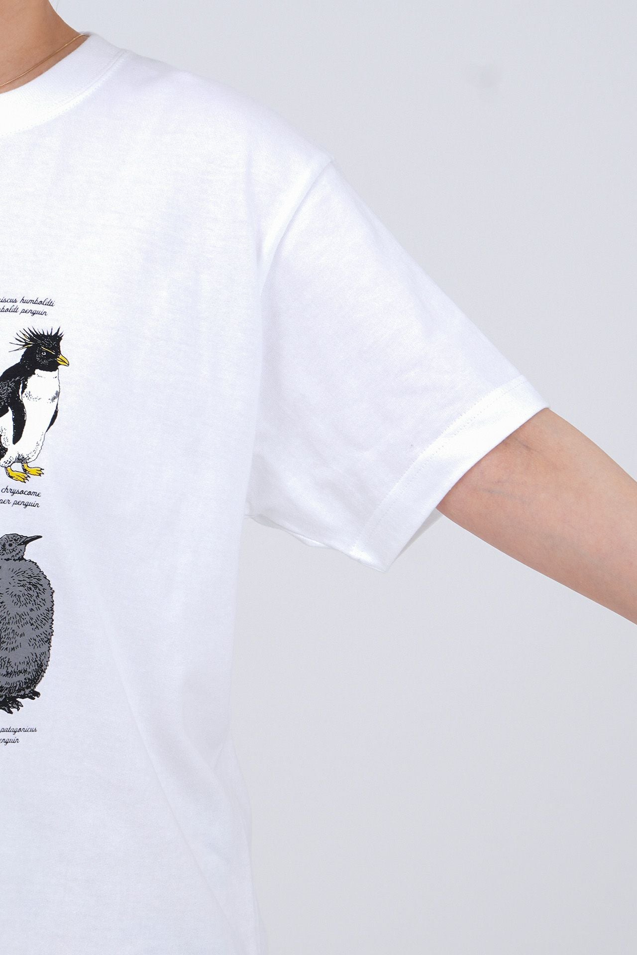 Zukan Penguin S/S Tシャツ | marble SUD(マーブルシュッド)公式通販