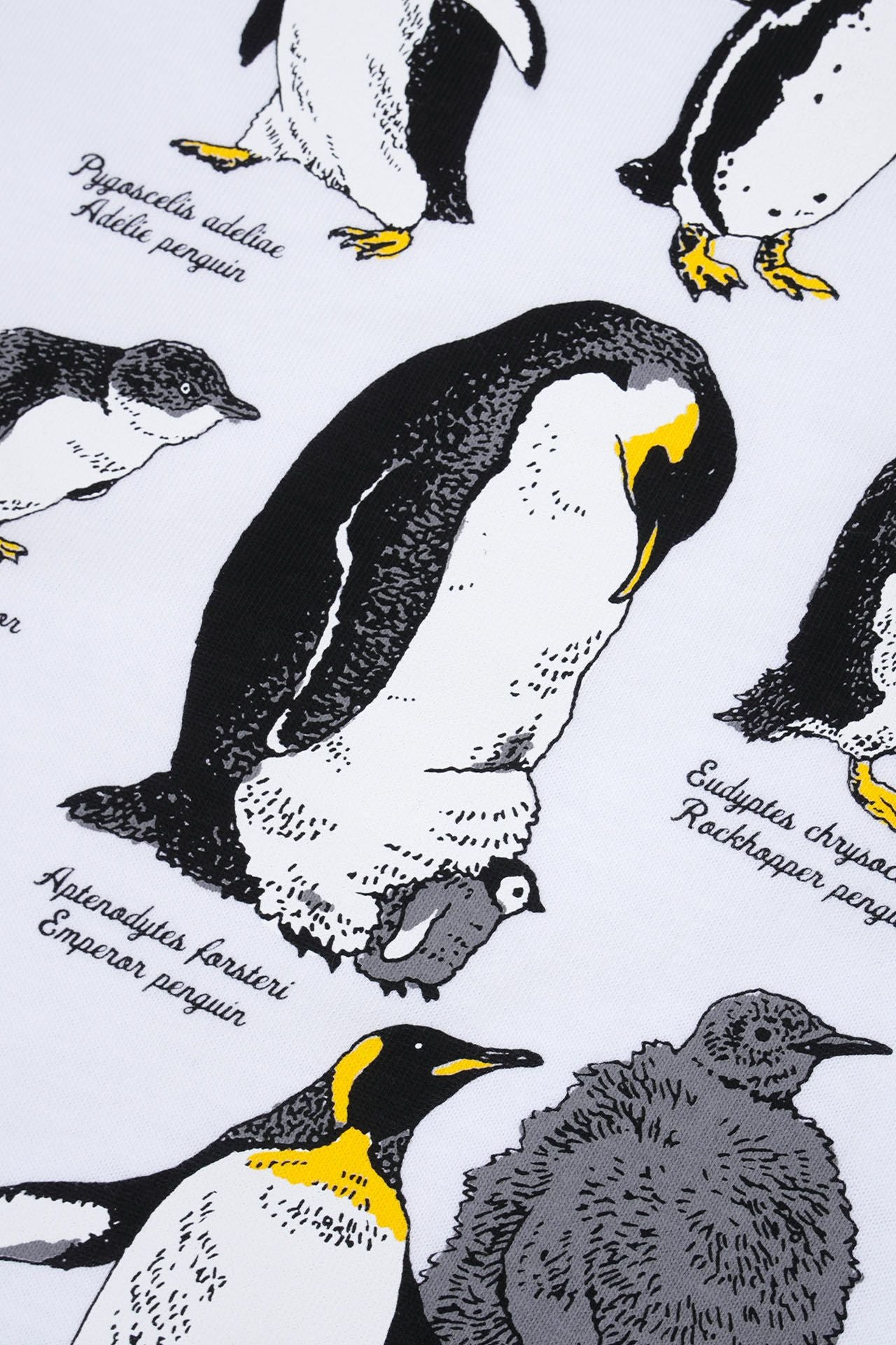 197 マーブルシュッド　marble sud ペンギン　プリント　カットソー marble SUD｜Zukan Penguin S/S Tシャツ - marble SUD(マーブル