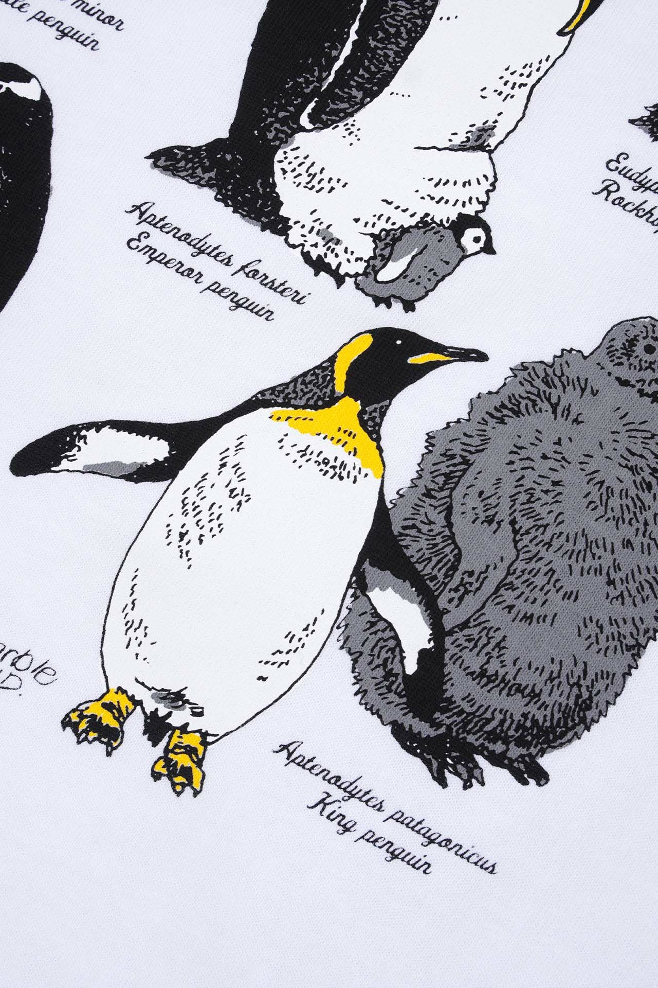 Zukan Penguin S/S Tシャツ | marble SUD(マーブルシュッド)公式通販