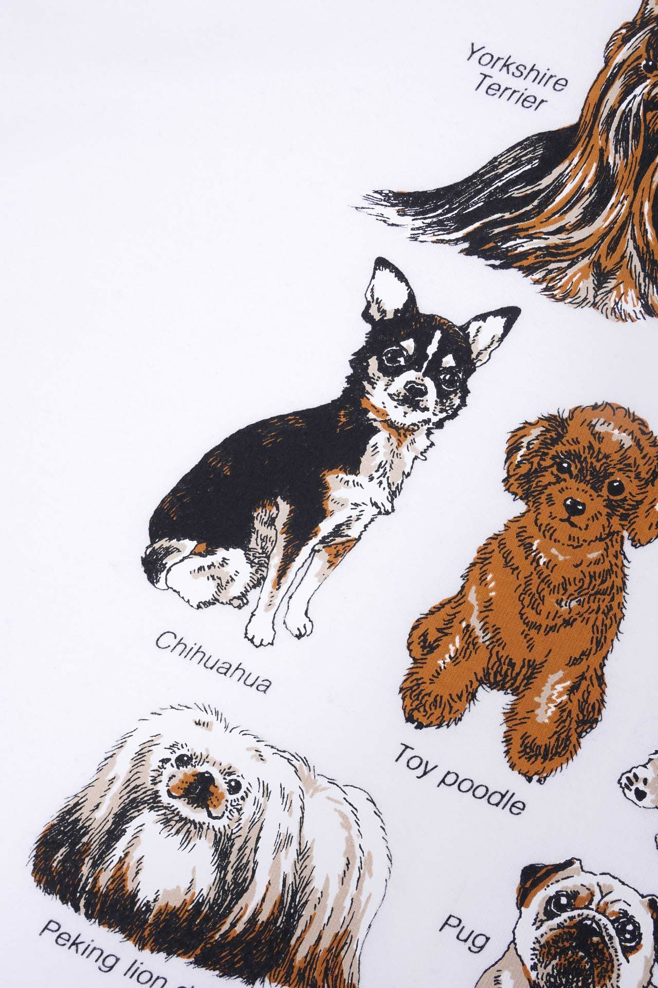 Zukan Small dog Tシャツ | marble SUD(マーブルシュッド)公式通販