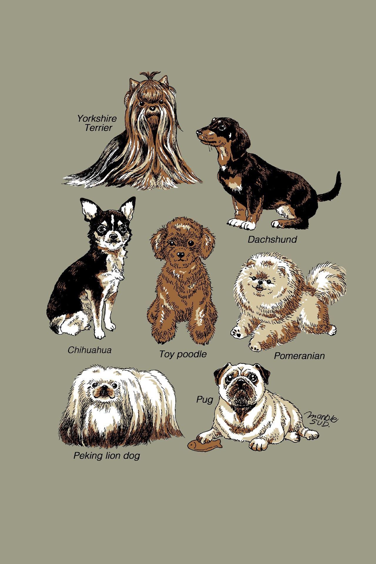 Zukan Small dog Tシャツ | marble SUD(マーブルシュッド)公式通販