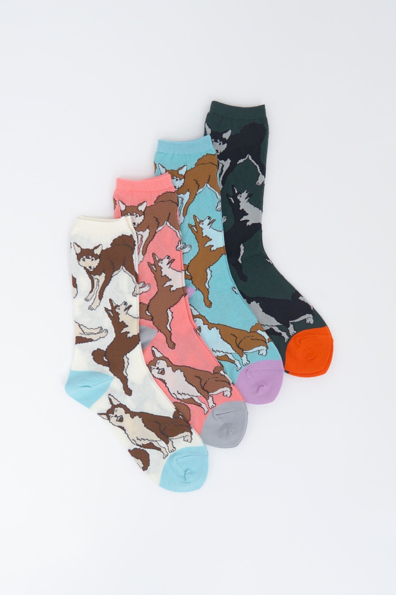 ソックス Shiba | marble SUD(マーブルシュッド)公式通販