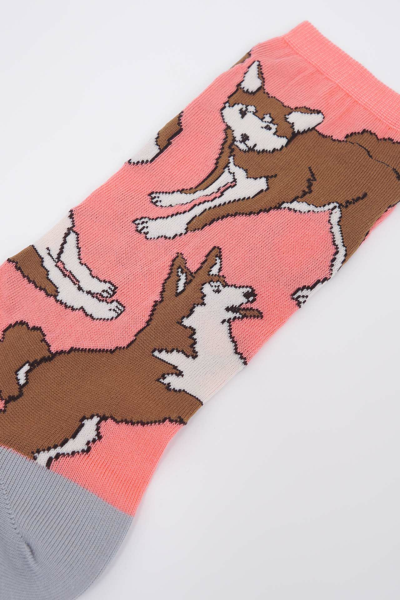 ソックス Shiba | marble SUD(マーブルシュッド)公式通販