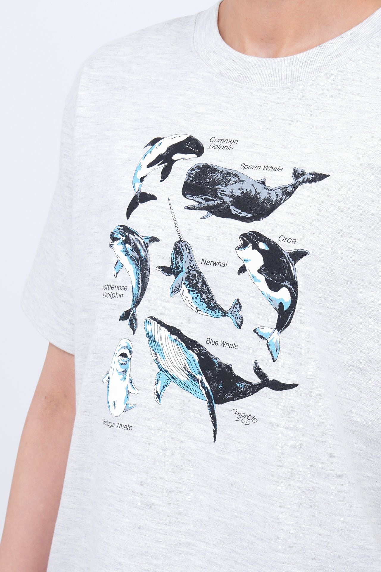 新品　マーブルシュッド　marble sud クジラ　刺繍　トップス　カットソー EMBカロチャ”と”kujira”シリーズが新入荷！ | marble SUD マーブルシュッド