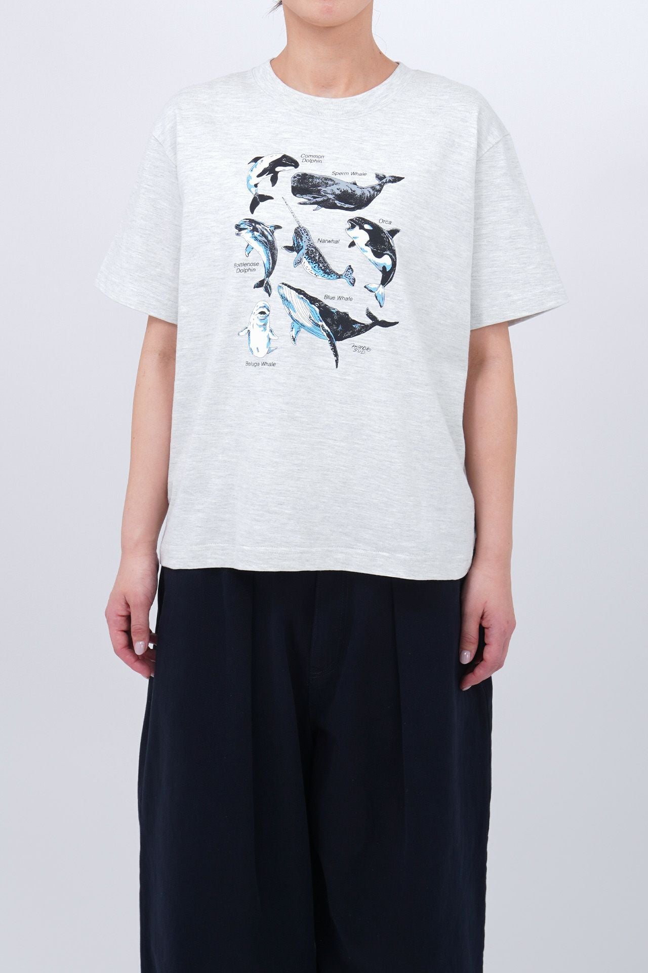 Zukan Whale Tシャツ | marble SUD(マーブルシュッド)公式通販