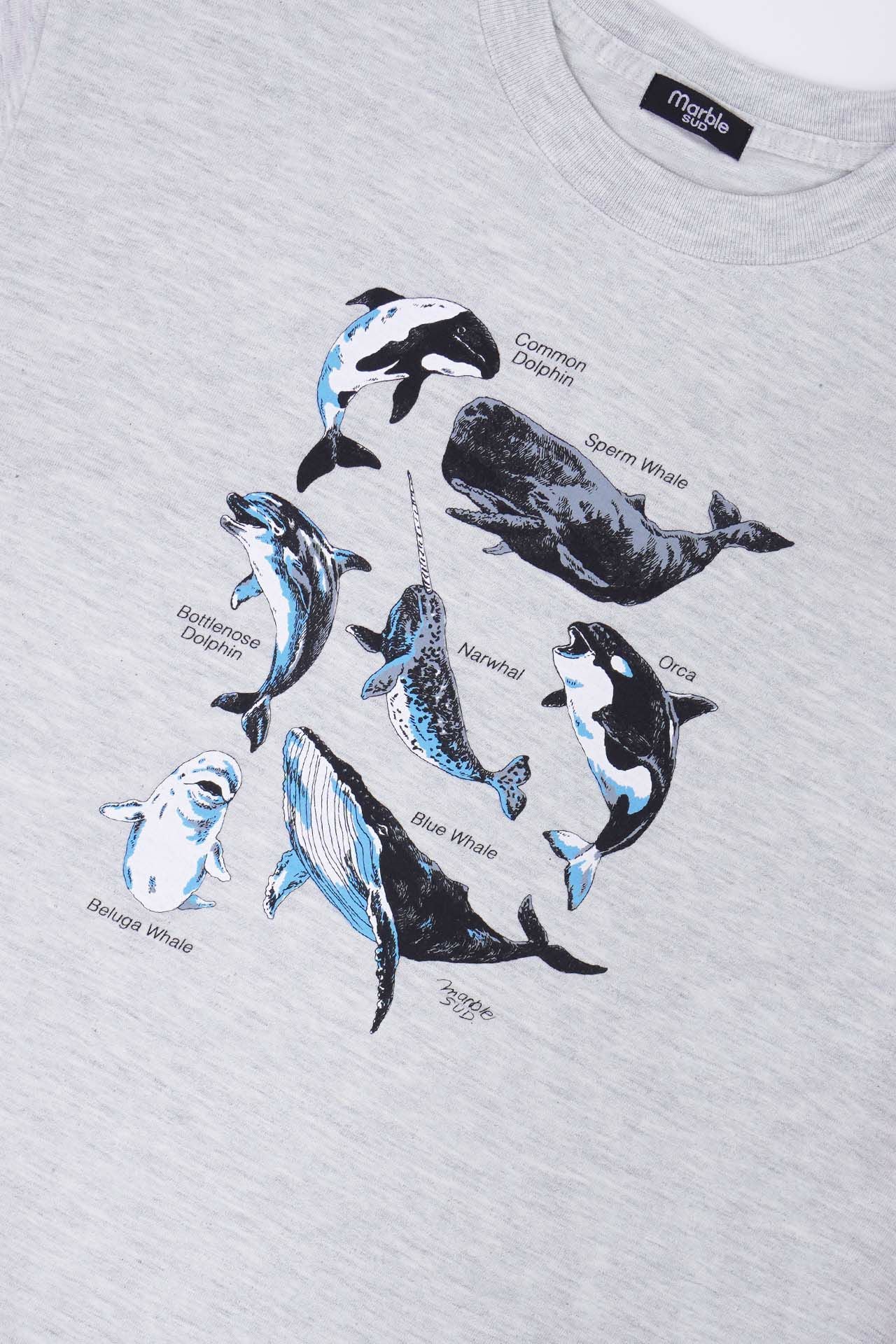Zukan Whale Tシャツ | marble SUD(マーブルシュッド)公式通販