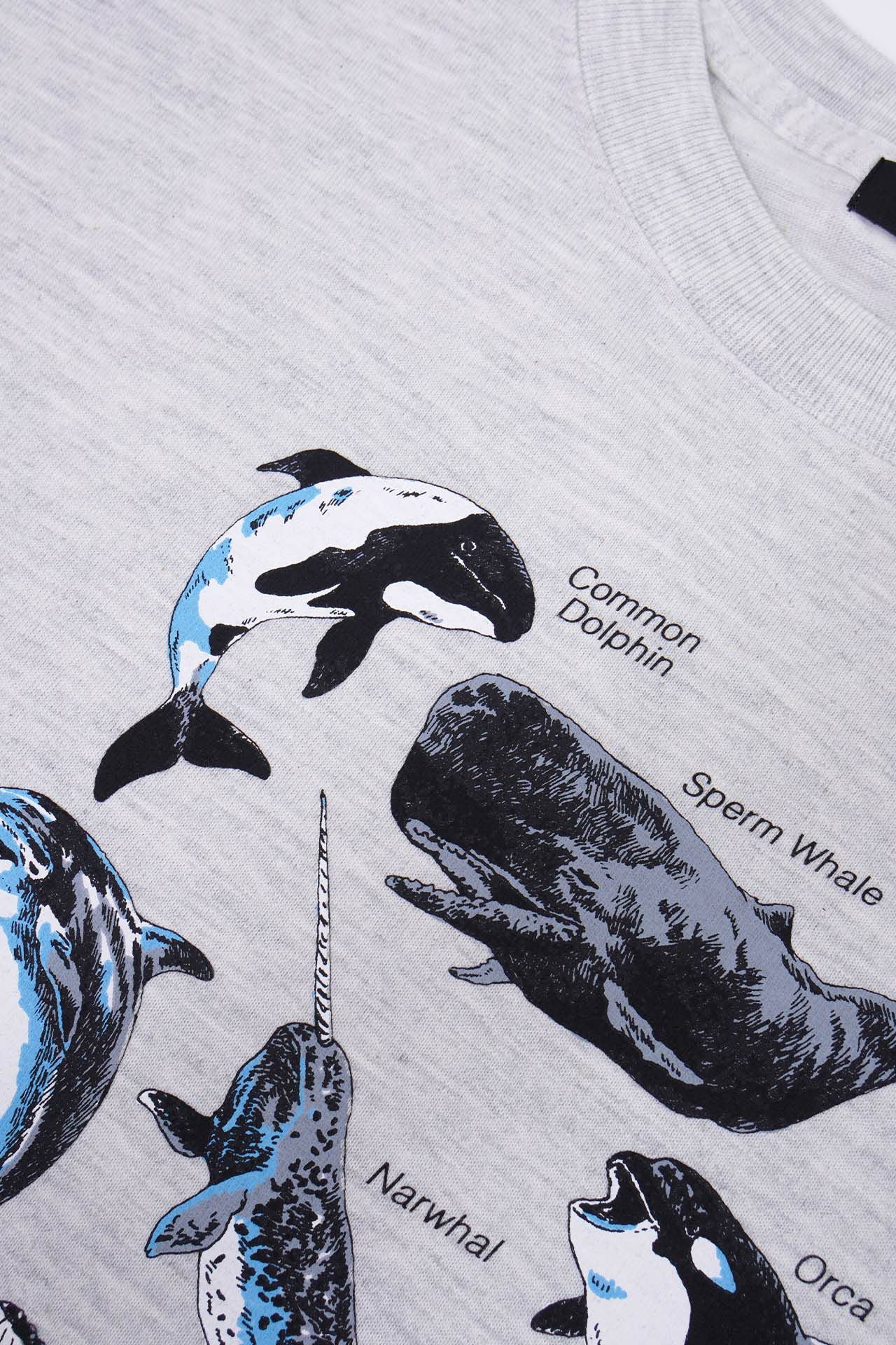 Zukan Whale Tシャツ | marble SUD(マーブルシュッド)公式通販