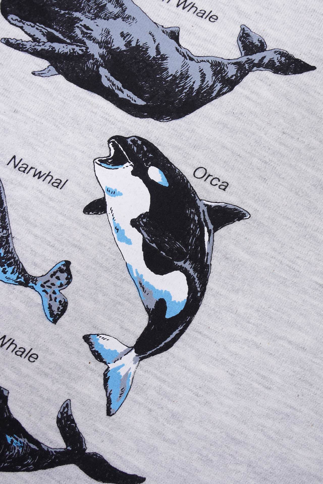 Zukan Whale Tシャツ | marble SUD(マーブルシュッド)公式通販