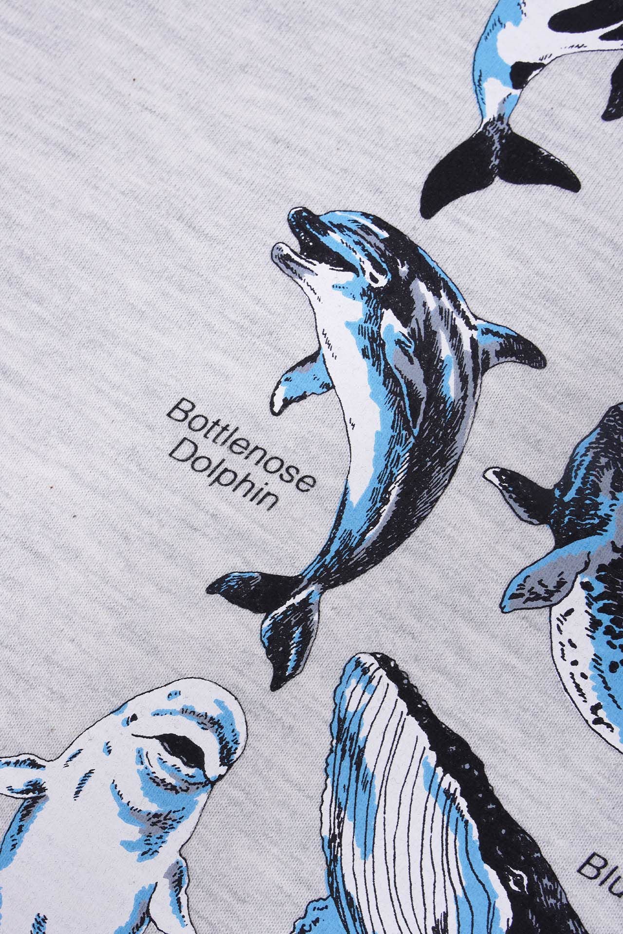Zukan Whale Tシャツ | marble SUD(マーブルシュッド)公式通販