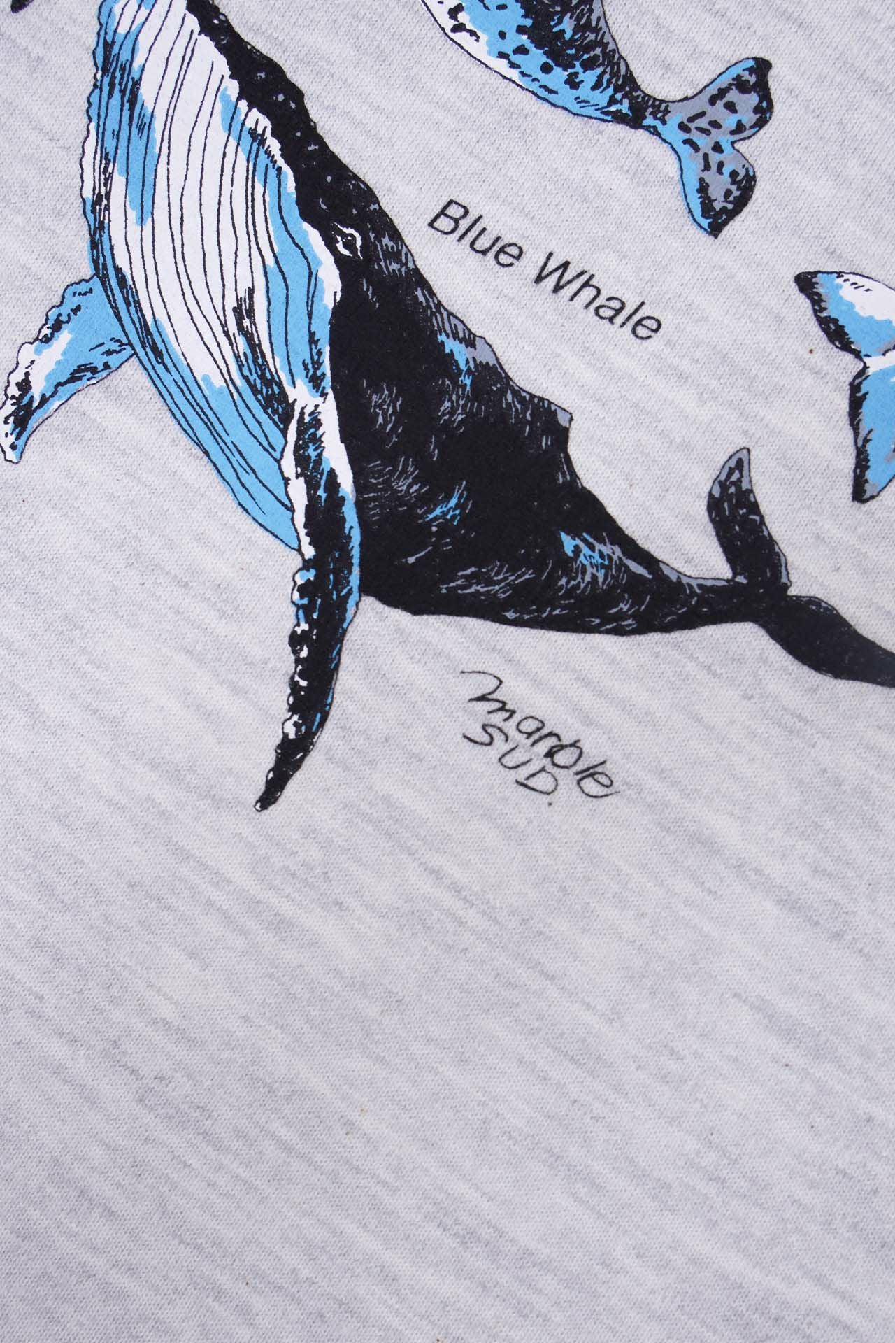Zukan Whale Tシャツ | marble SUD(マーブルシュッド)公式通販
