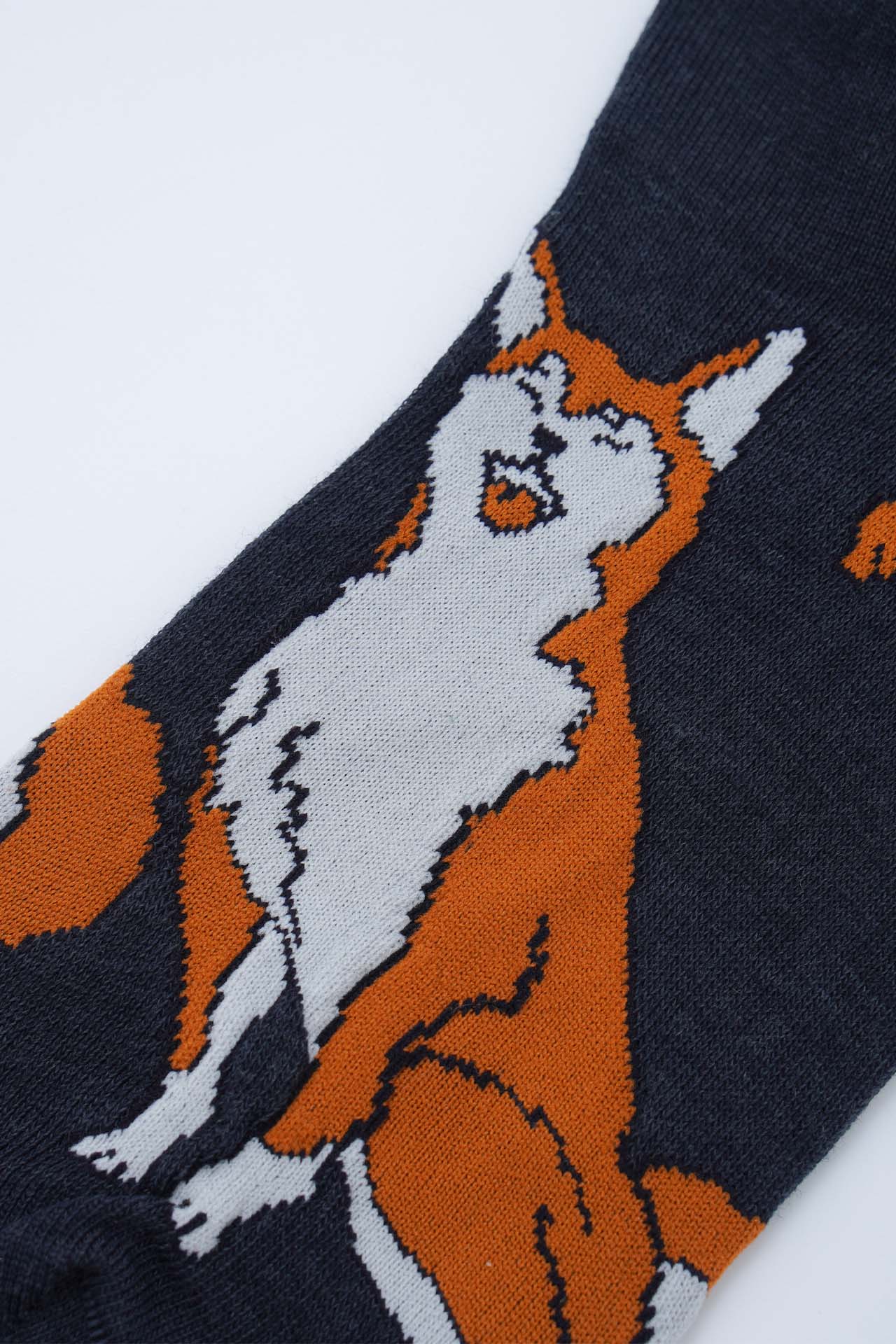 Detail
