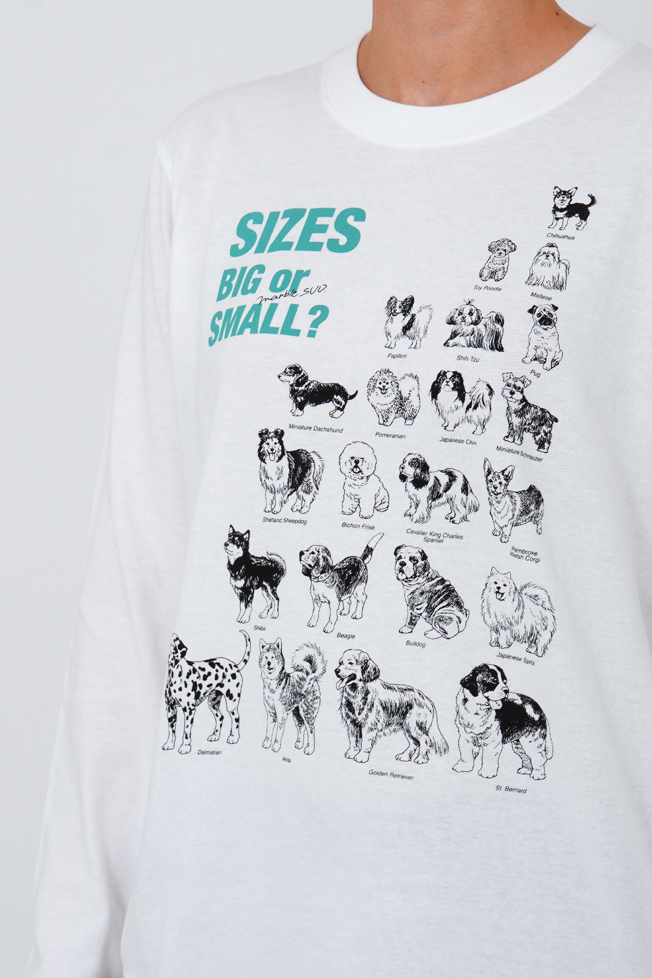Tシャツ | marble SUD(マーブルシュッド)公式通販